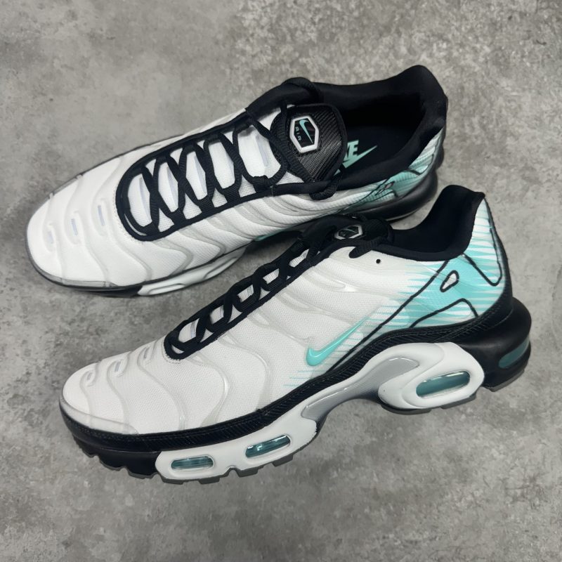Nike Air Max Plus TN - Mercurial Vapor