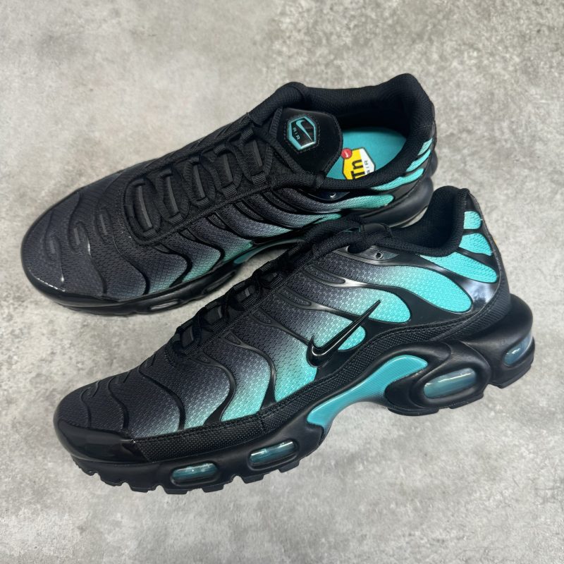 Nike Air Max Plus TN - Dusty Cactus