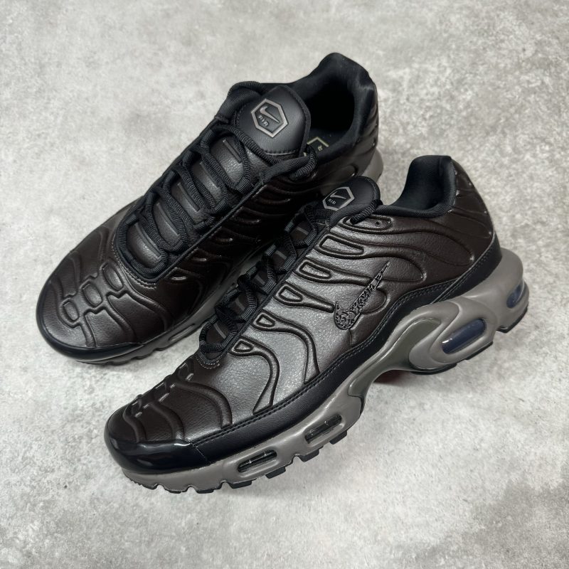 Nike Air Max Plus TN - Paris