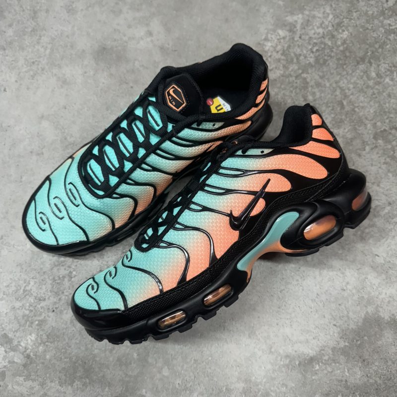 Nike Air Max Plus TN - South Beach